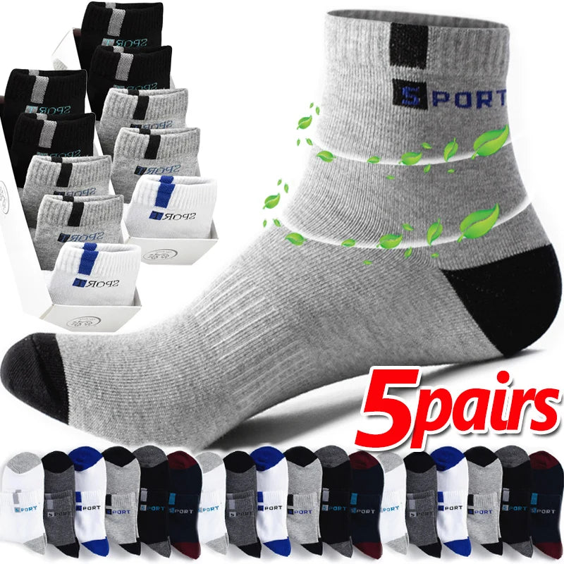 Lot de 5 paires de chaussettes en coton pour hommes