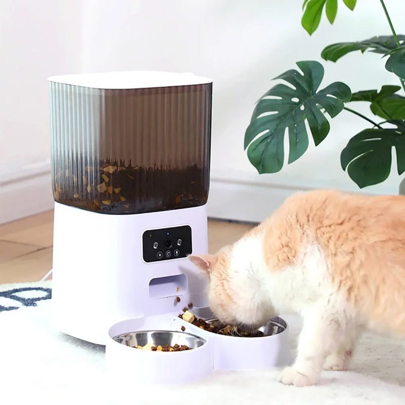 Distributeur automatique de croquettes pour chat intelligent