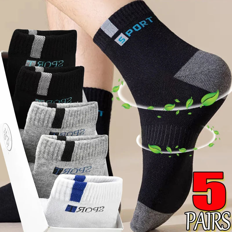 Lot de 5 paires de chaussettes en coton pour hommes